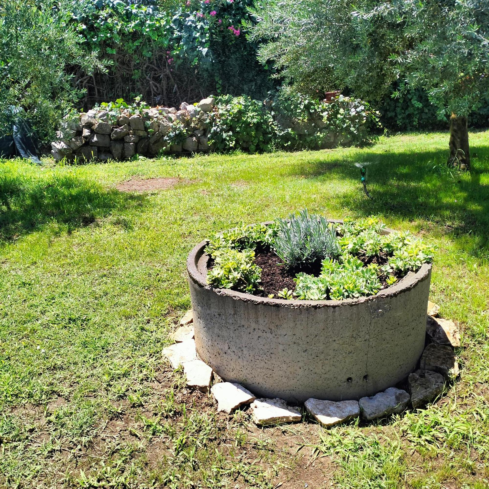 Olive Apartment Podgorica Exterior foto