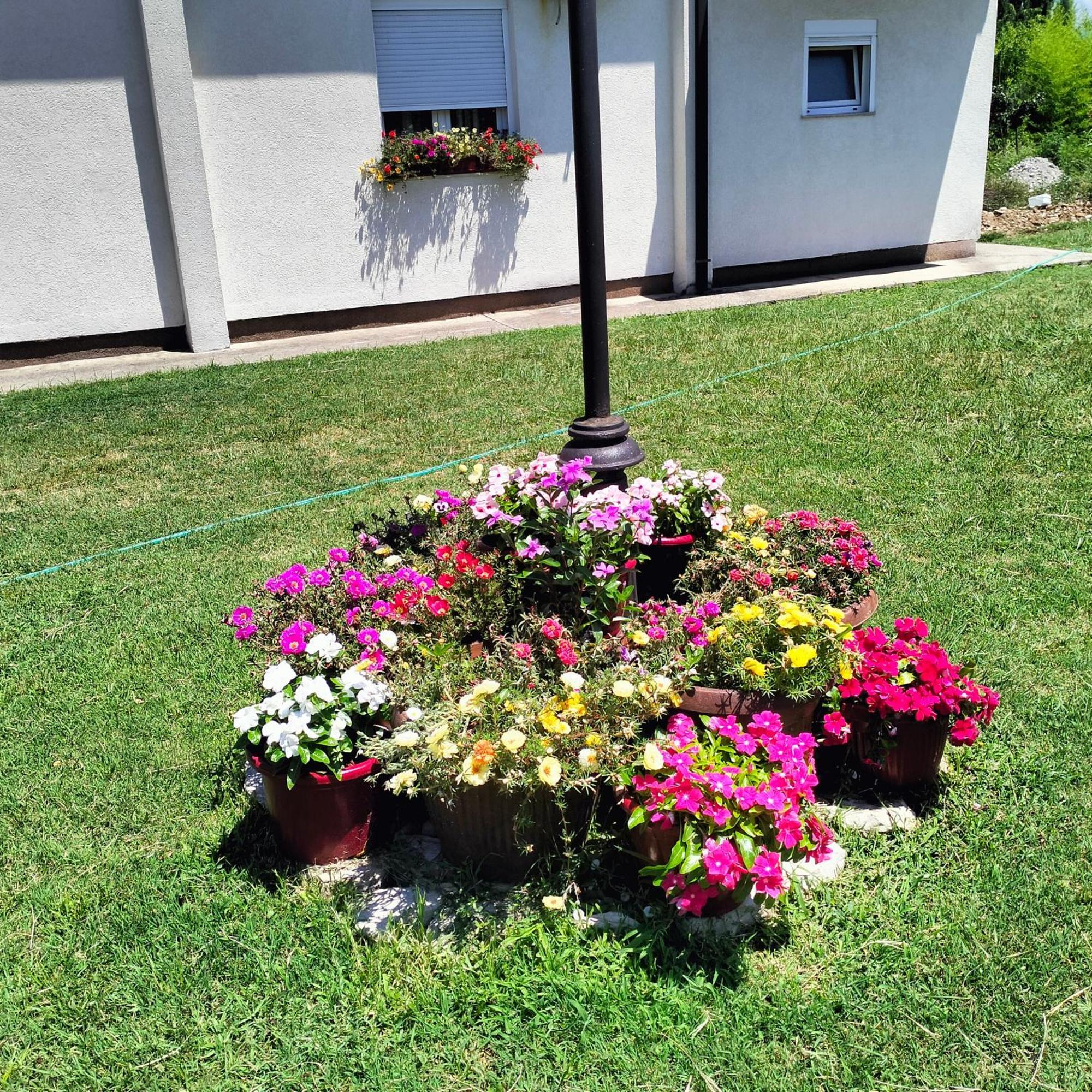 Olive Apartment Podgorica Exterior foto